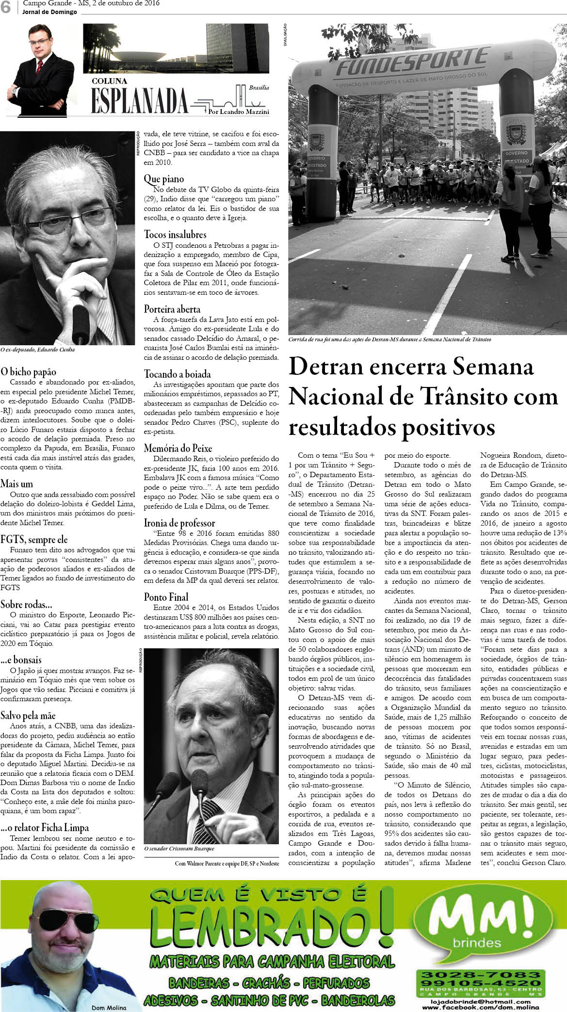 Página 6