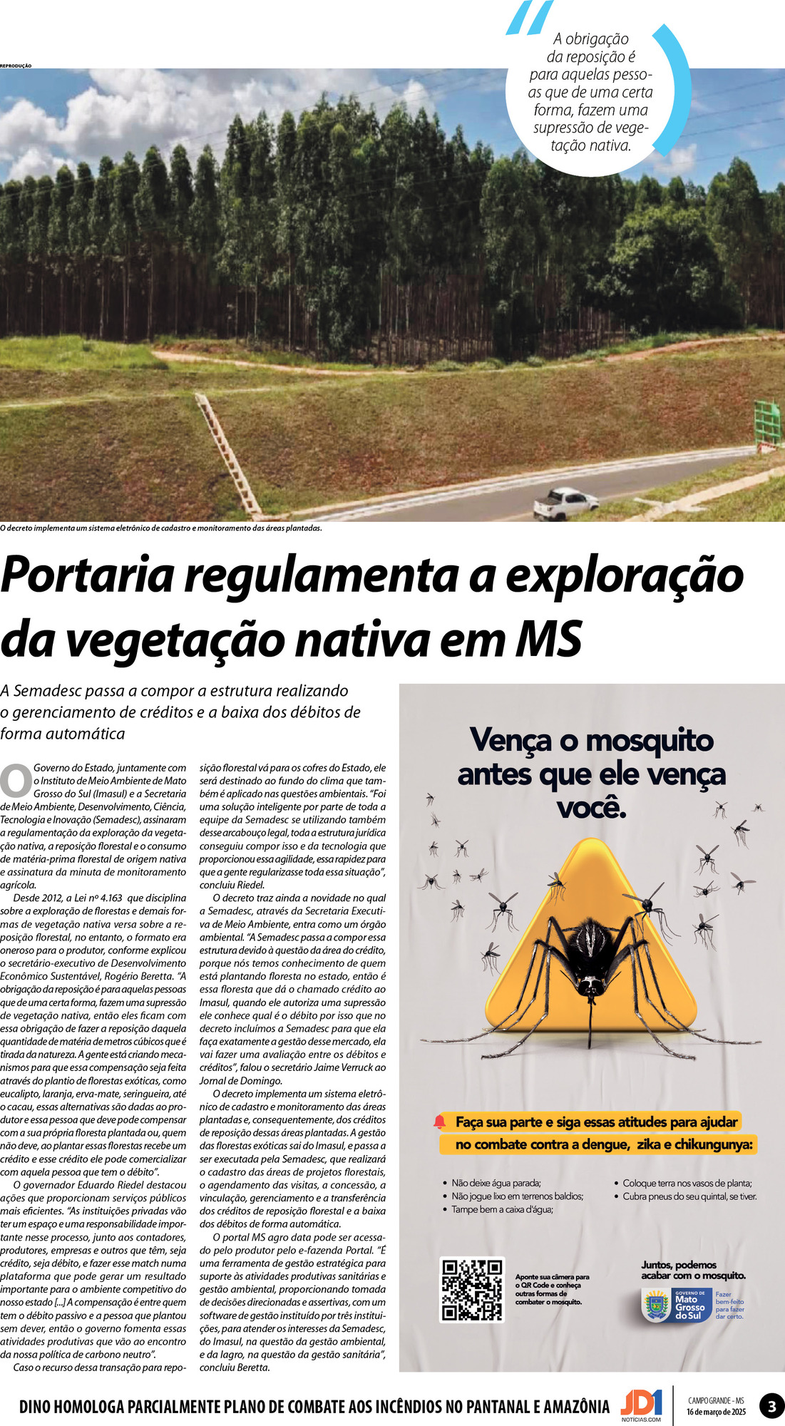 Página 3