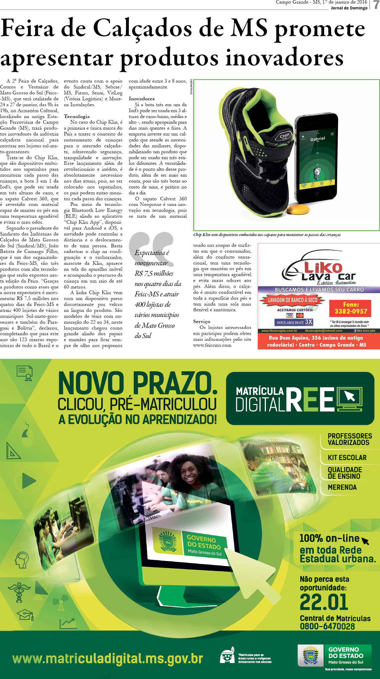 Página 7