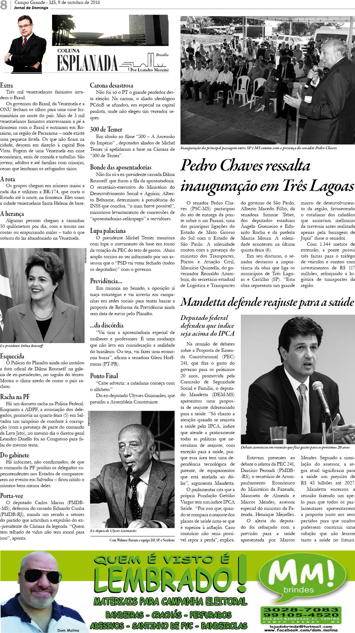 Página 8