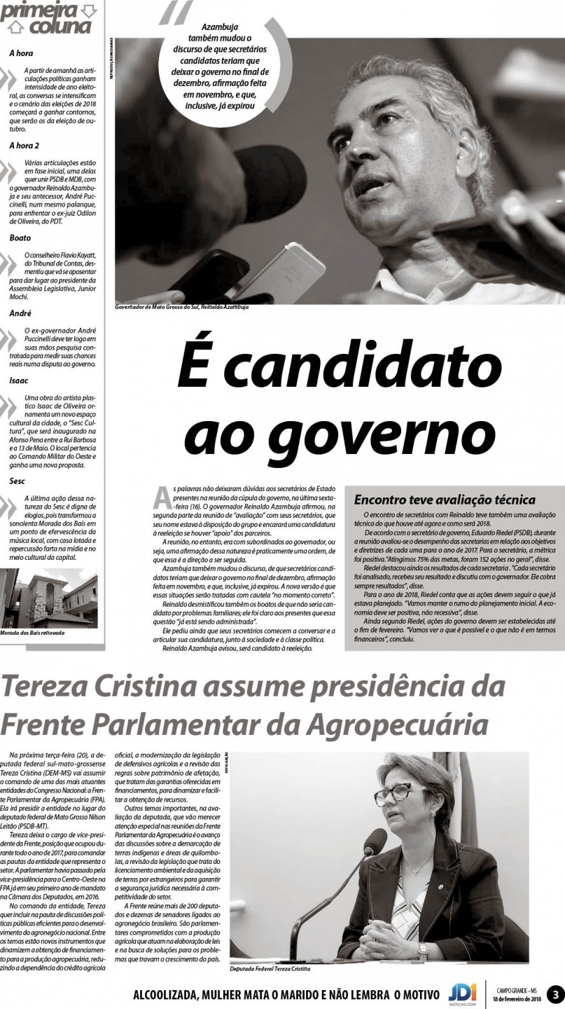 Página 3