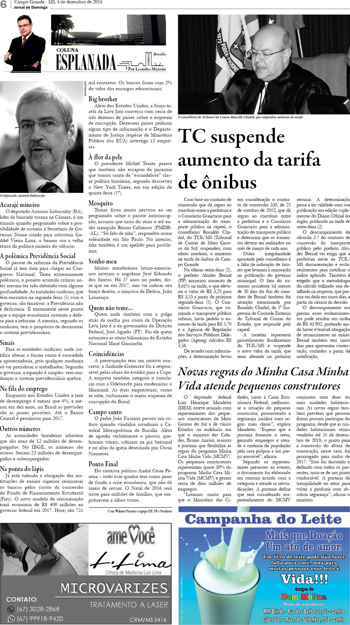 Página 6