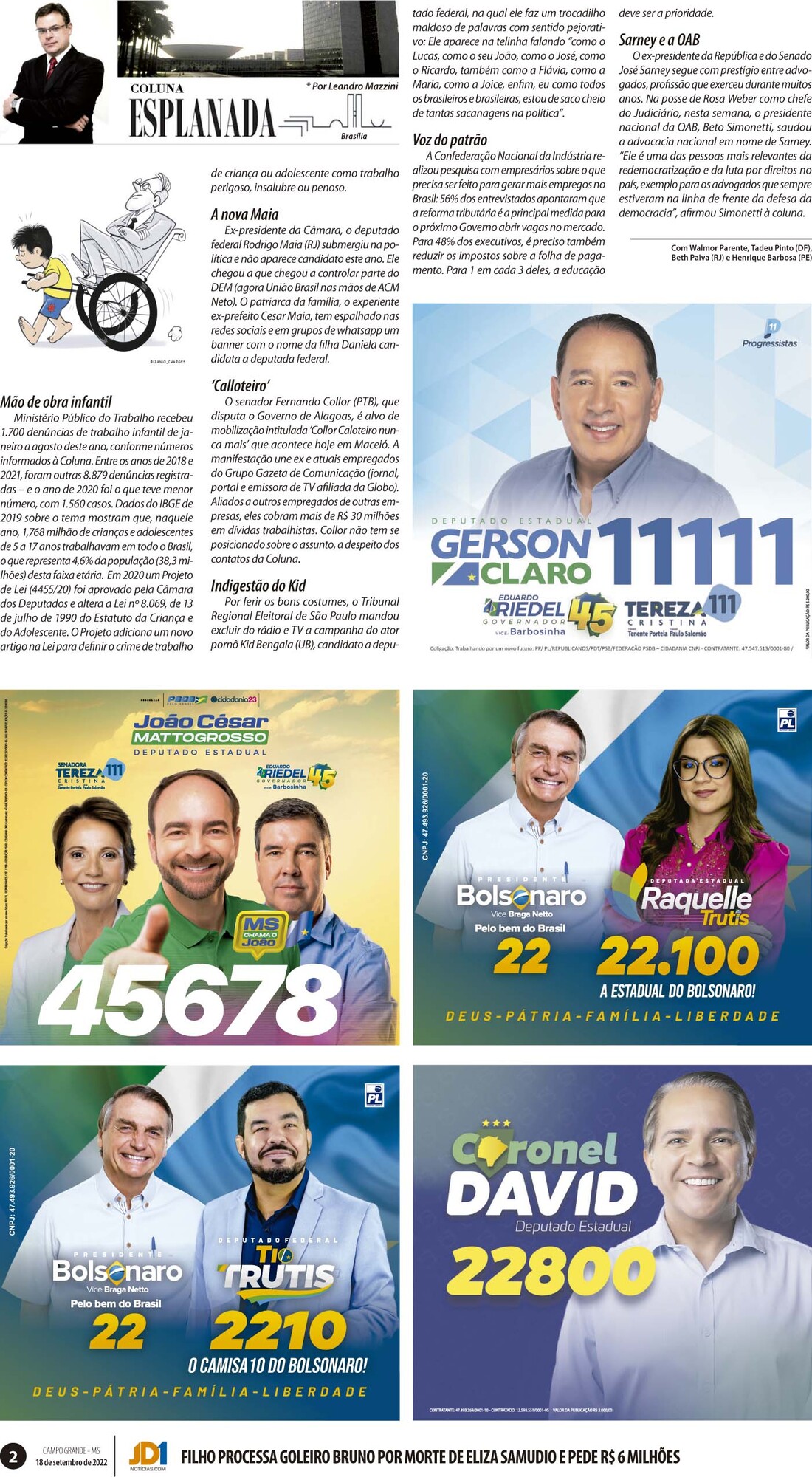 Página 2