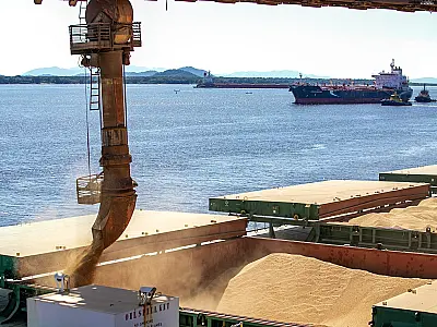 Exportações de Mato Grosso do Sul crescem 6,26% no primeiro quadrimestre