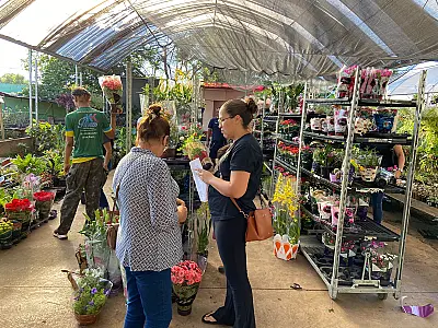 Procura por flores cresce 50% na Ceasa-MS antes do Dia das Mães