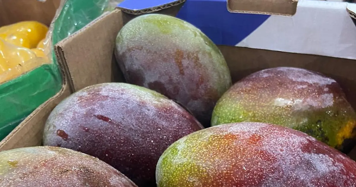 Caixa de manga sobe R$ 10 e lidera alta de preços na Ceasa/MS