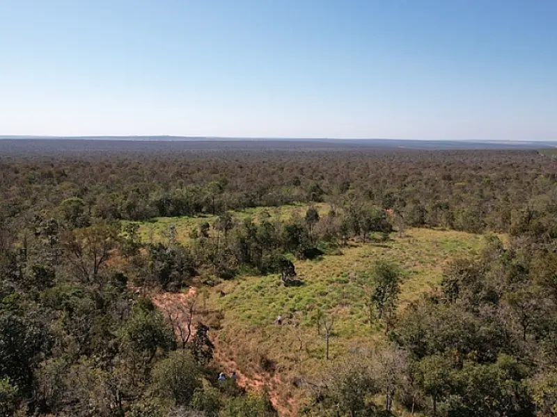 Tecnologia de ponta vai monitorar florestas e áreas nativas do Cerrado