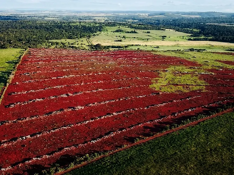 MP firma acordos para recuperar áreas destruídas e interdita balneário em MS