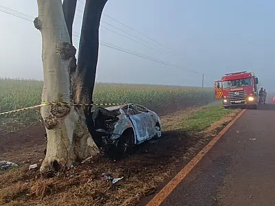 Batida em árvore deixa dois mortos carbonizados e vereador ferido em MS