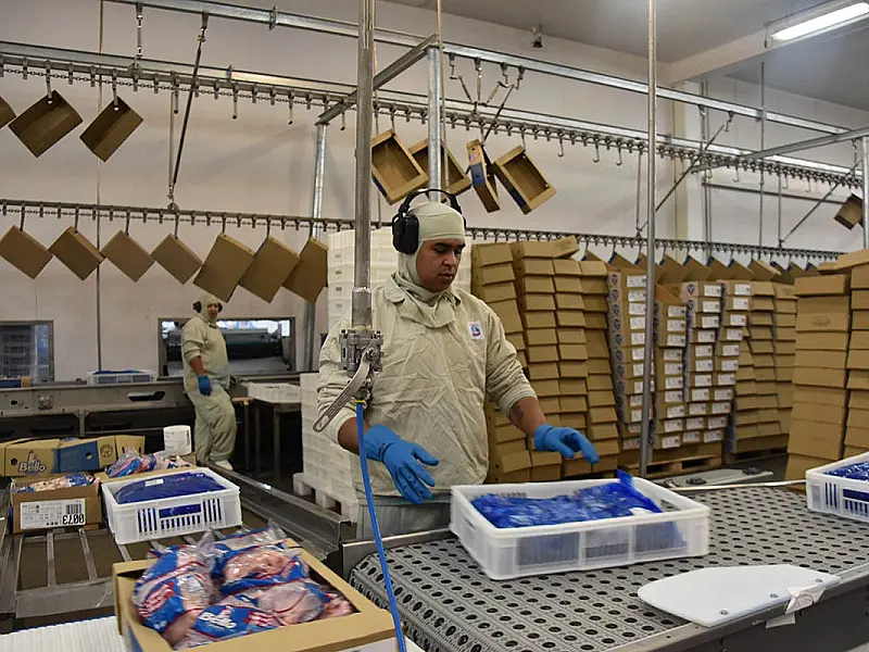 Com China na liderança das compras, indústria de MS alcança US$ 3 bilhões em exportações