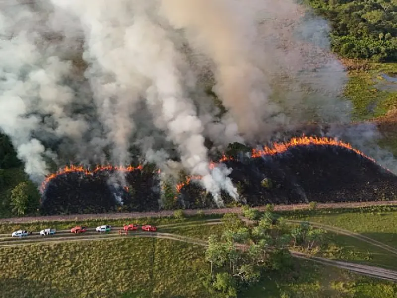 Força-tarefa cria 'cinturão de proteção' contra o fogo no Parque Estadual do Rio Negro