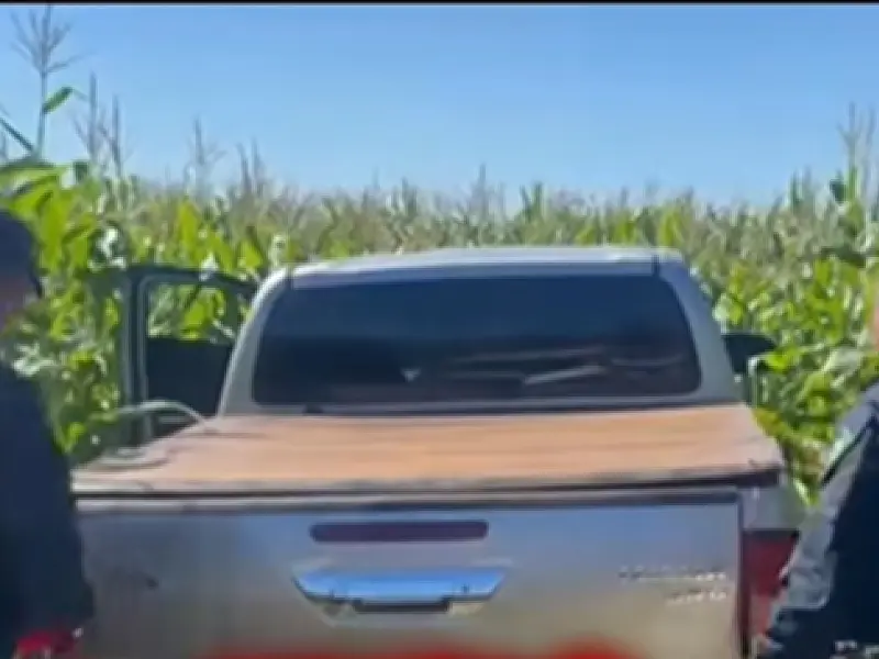 Traficante joga Hilux contra viatura e abandona 2,5 toneladas de maconha em milharal