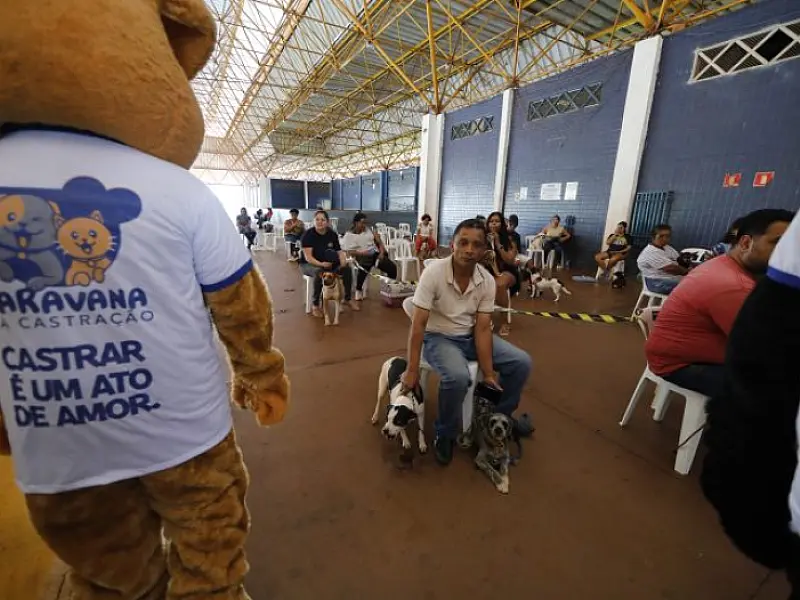 Com 25 mil atendimentos, Caravana da Castração entra na reta final em MS