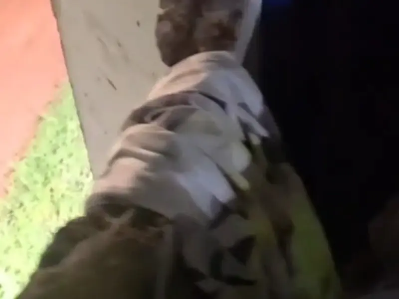 VEJA: Vídeo mostra 'teresa' que pode ter sido usada para fuga da Máxima