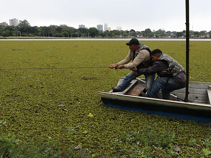 Prefeitura faz força-tarefa para retirar plantas aquáticas de lagos em Dourados