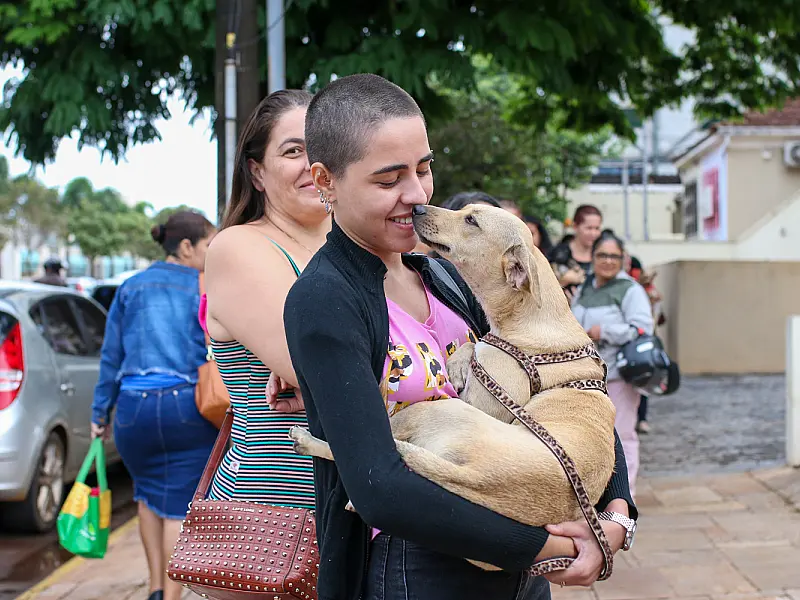 Feira de adoção reúne mais de 50 cães e gatos neste domingo na Praça da Bolívia