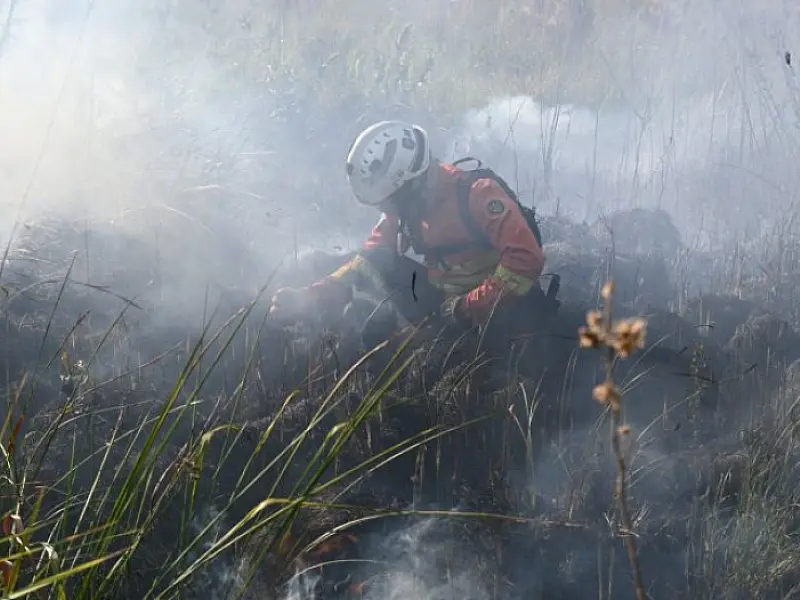 MS decreta emergência ambiental por 180 dias contra risco de incêndios