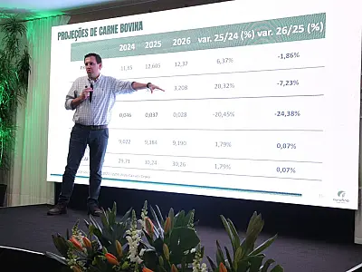 Estudo aponta que 20 vacas sem emprenhar representam prejuízo de 13 bezerros