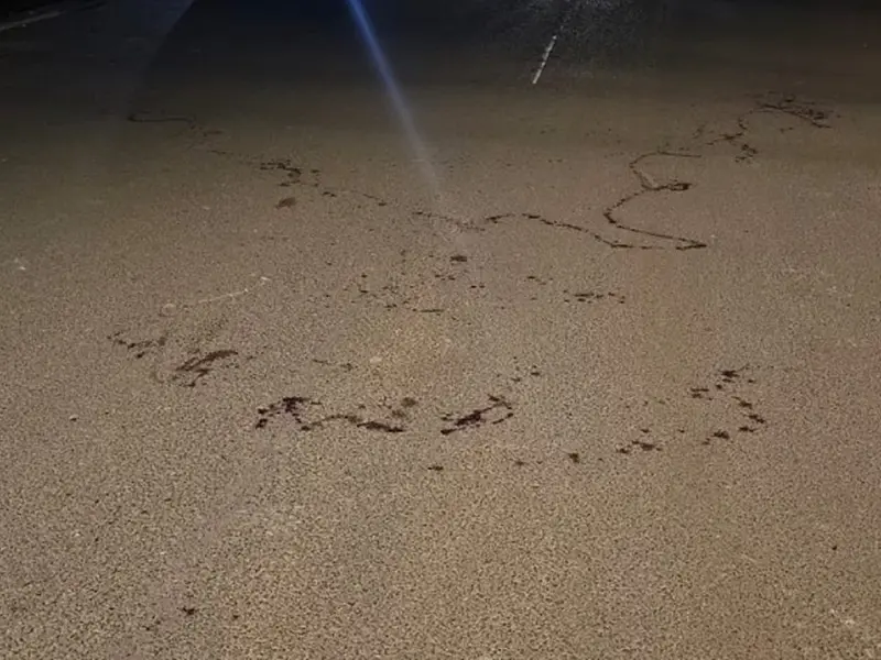AGORA: Suspeito de assassinar rapaz a facadas no Nova Lima é preso em flagrante