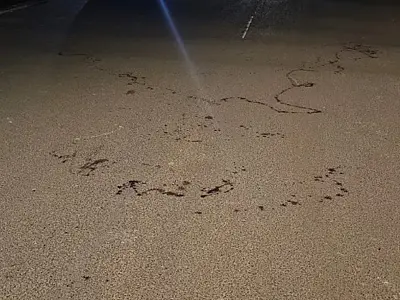 AGORA: Suspeito de assassinar rapaz a facadas no Nova Lima é preso em flagrante