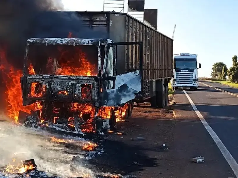 Motorista liberta bois após caminhão ser tomado pelo fogo em rodovia de MS