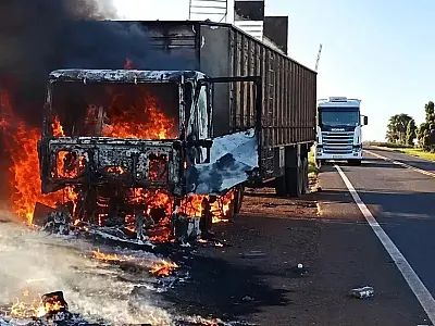 Motorista liberta bois após caminhão ser tomado pelo fogo em rodovia de MS