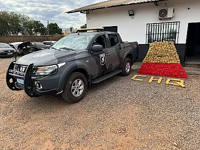 Choque apreende quase meia tonelada de maconha e prende mulher na Capital