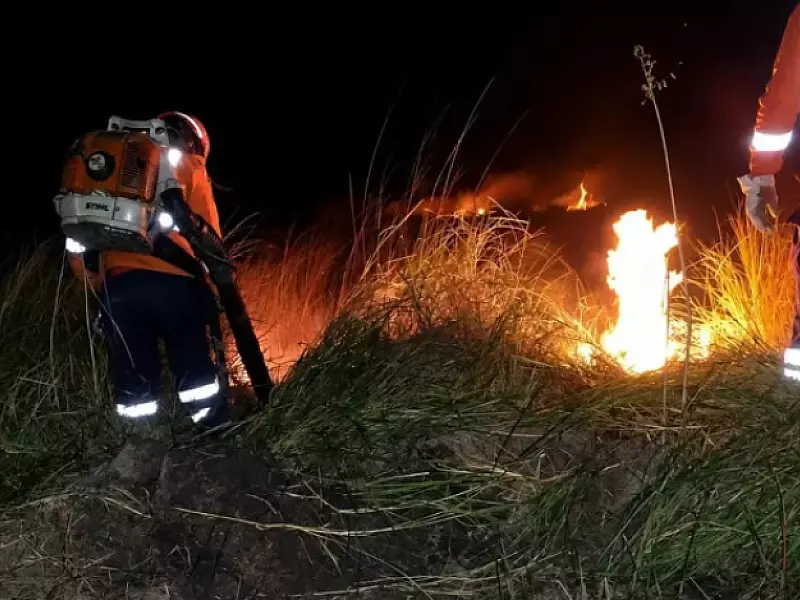 Ventania levam incêndio do Pantanal de MS para solo da Bolívia