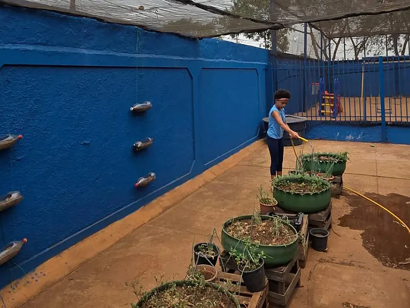 Projeto com cisternas e manejo de abelhas rende prêmio nacional de R$ 100 mil à escola da Capital