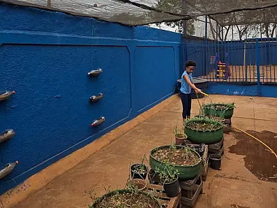 Projeto com cisternas e manejo de abelhas rende prêmio nacional de R$ 100 mil à escola da Capital