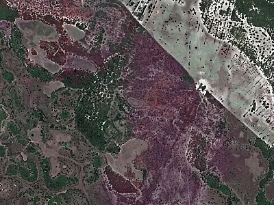 MPMS firma acordo e fazendeiro terá de recuperar área desmatada irregularmente em Corumbá