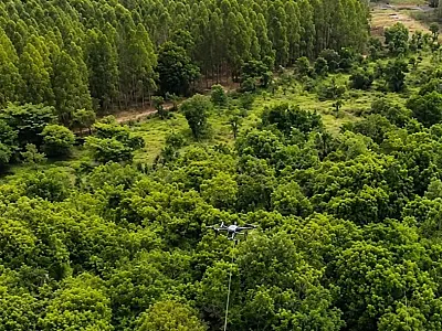 Arauco usa drones em linha de transmissão e salva 33 hectares de mata em MS