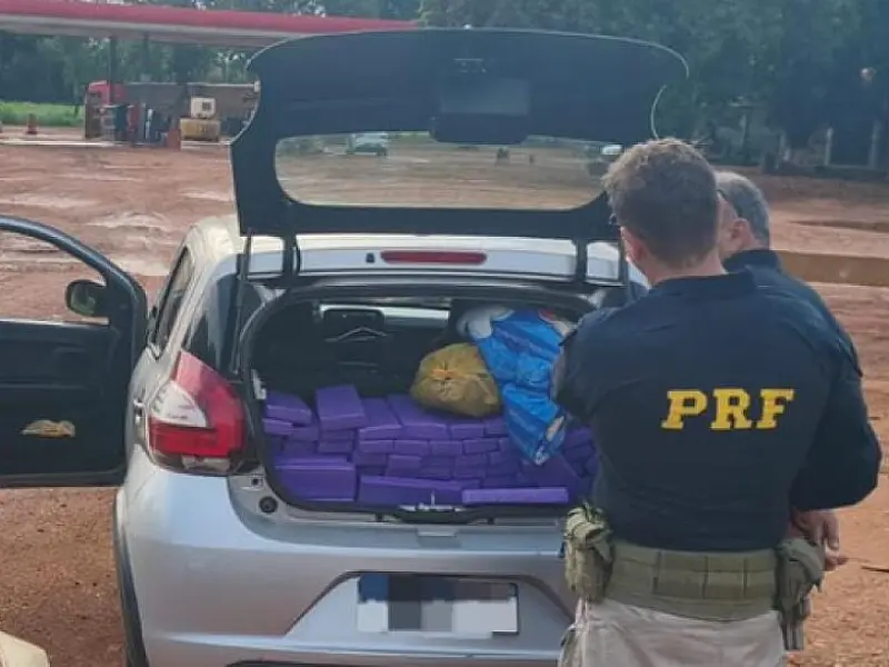 TJ nega prisão domiciliar a homem preso com 213 kg de maconha na BR-376 em Ivinhema