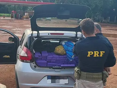 TJ nega prisão domiciliar a homem preso com 213 kg de maconha na BR-376 em Ivinhema