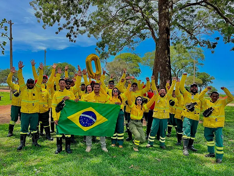 Empresa usa aviões e satélites para zerar incêndios em florestas de MS