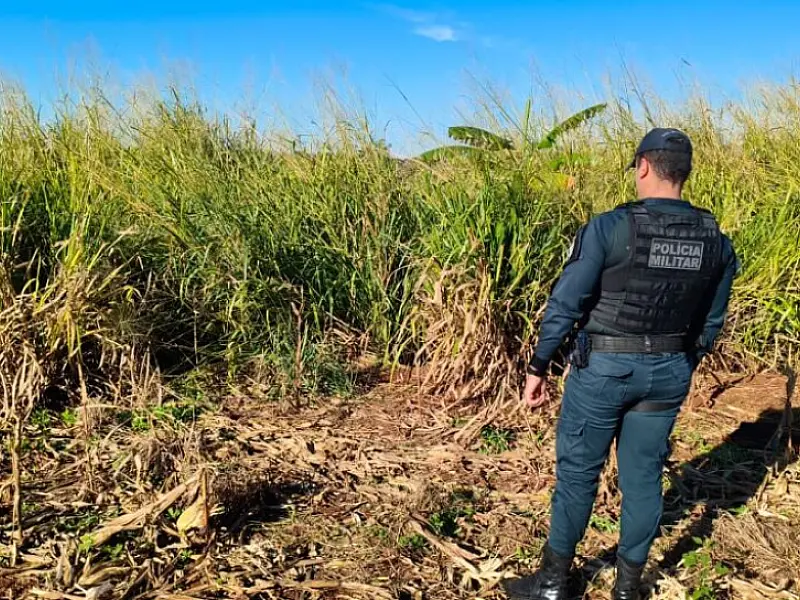 Corpo em avançado estado de decomposição é encontrado em mata de Dourados