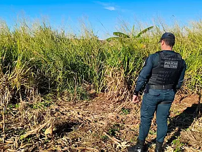 Corpo em avançado estado de decomposição é encontrado em mata de Dourados