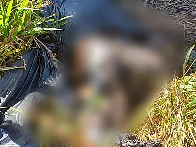Corpo de homem é encontrado carbonizado em área de mata de Corumbá