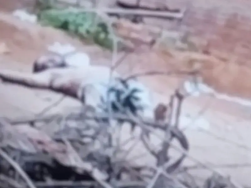 Homem é assassinado com oito tiros na cabeça dentro de casa em Paranaíba