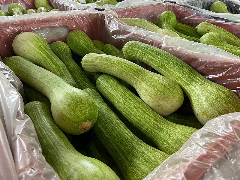 Abobrinha, quiabo, batata e tomate ficam mais baratos na Ceasa de MS