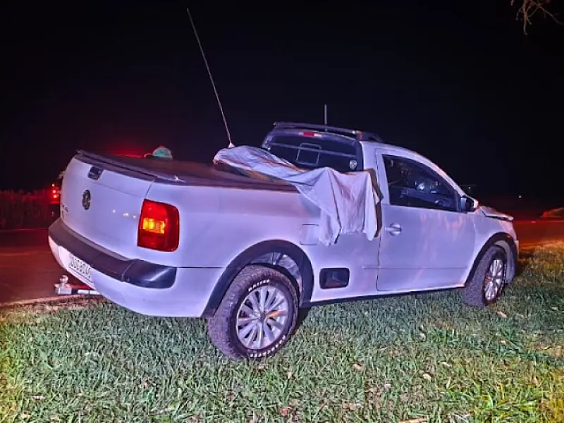 Homem e cachorro de estimação morrem atropelados na MS-156, em Itaporã