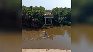 Ponte desaba sobre o Rio Taquari e carreta desaparece nas águas