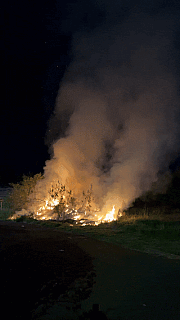 'Tragédia anunciada': Moradora denuncia abandono após incêndio em terreno no Jardim Seminário