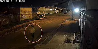 VÍDEO: Câmera mostra fuga de atirador após tentativa de homicídio no Noroeste
