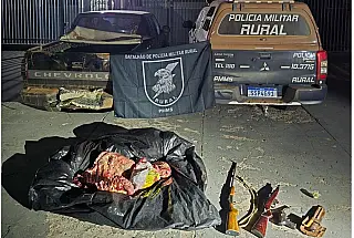 Furto de gado em fazenda de ex-prefeito termina com dois presos em Anastácio