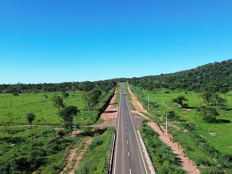 Governo de MS abre licitação de R$ 5 milhões para instalar cercas de proteção à fauna na MS-345