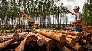 Suzano abre 17 vagas de emprego em Ribas do Rio Pardo e Três Lagoas