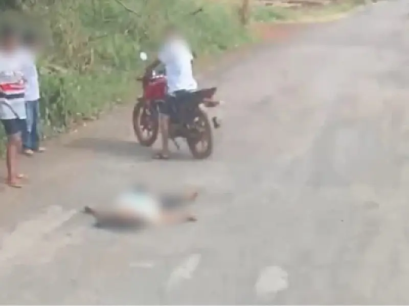 Mulher é assassinada a facadas em Dourados e autora diz que agiu por vingança