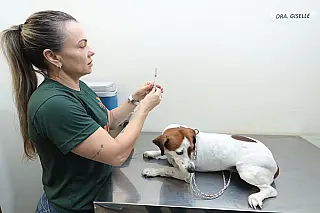 Consultório Móvel de veterinária leva atendimento  de graça ao Jardim Aeroporto
