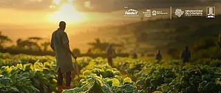 Calor persiste, queimadas recuam e MS mantém alto potencial solar, aponta painel ambiental